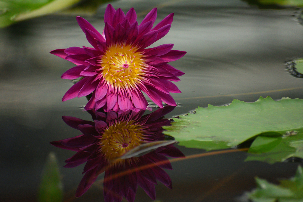 DSC_3344_00003.jpg