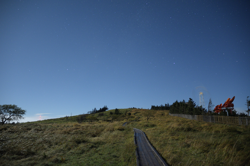 DSC_3962_00001.jpg