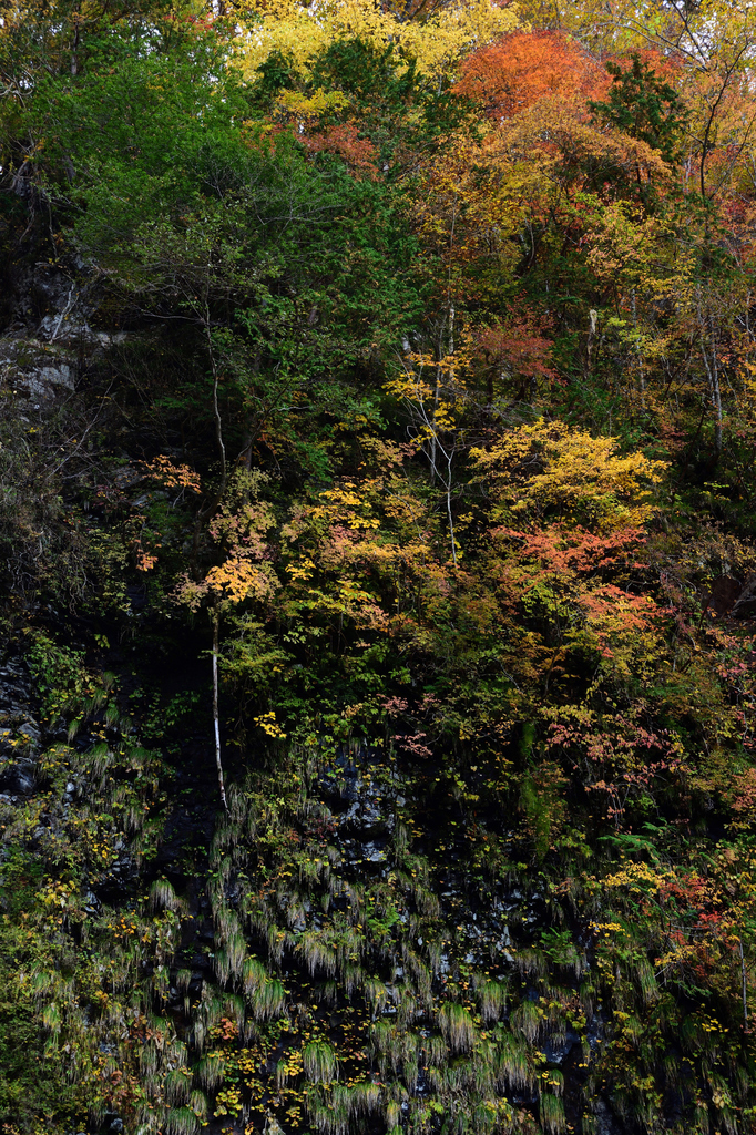 DSC_4977_00008_00004.jpg