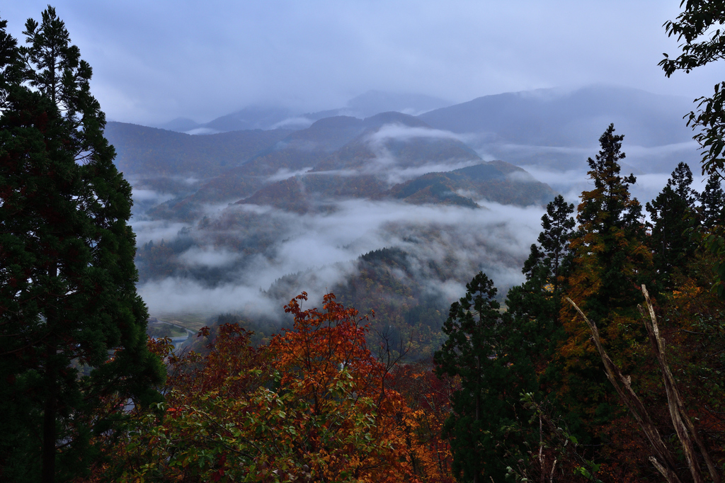 DSC_4997_00001.jpg