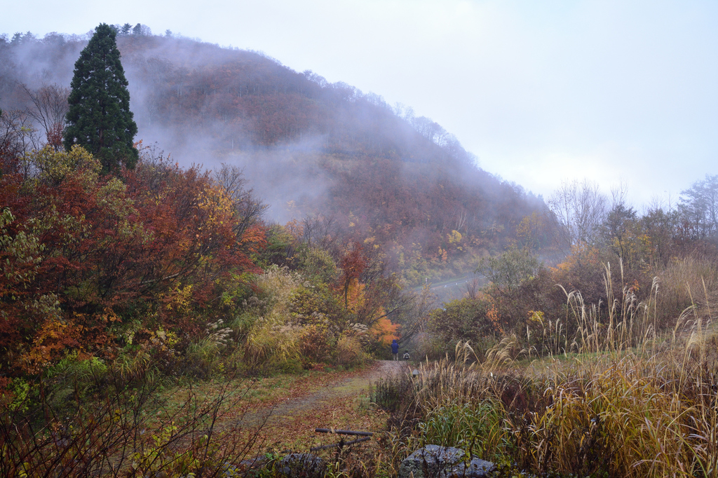 DSC_5006_00003.jpg