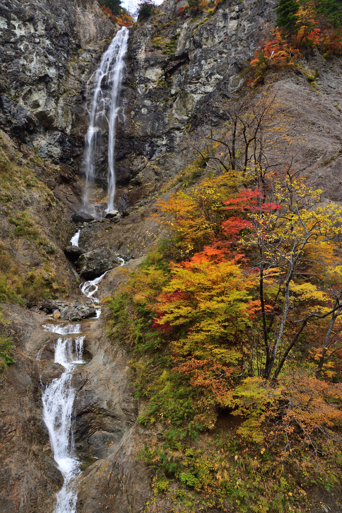 DSC_5045_00005.jpg