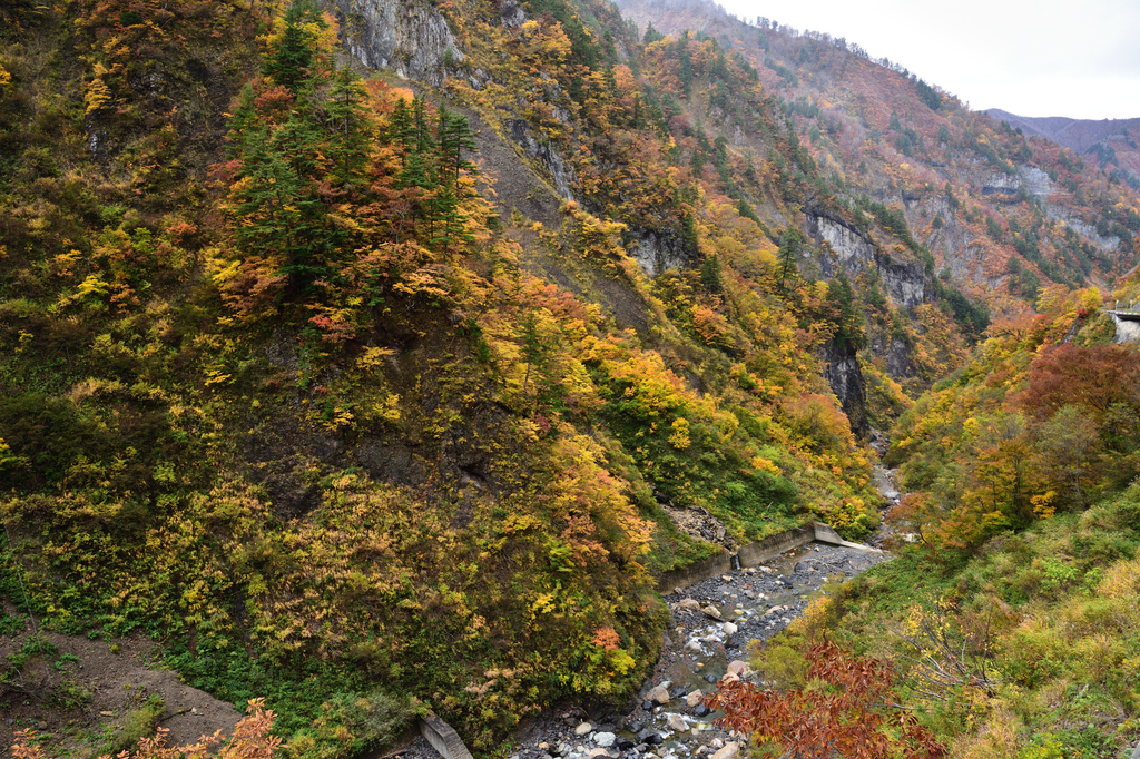 DSC_5047_00006.jpg