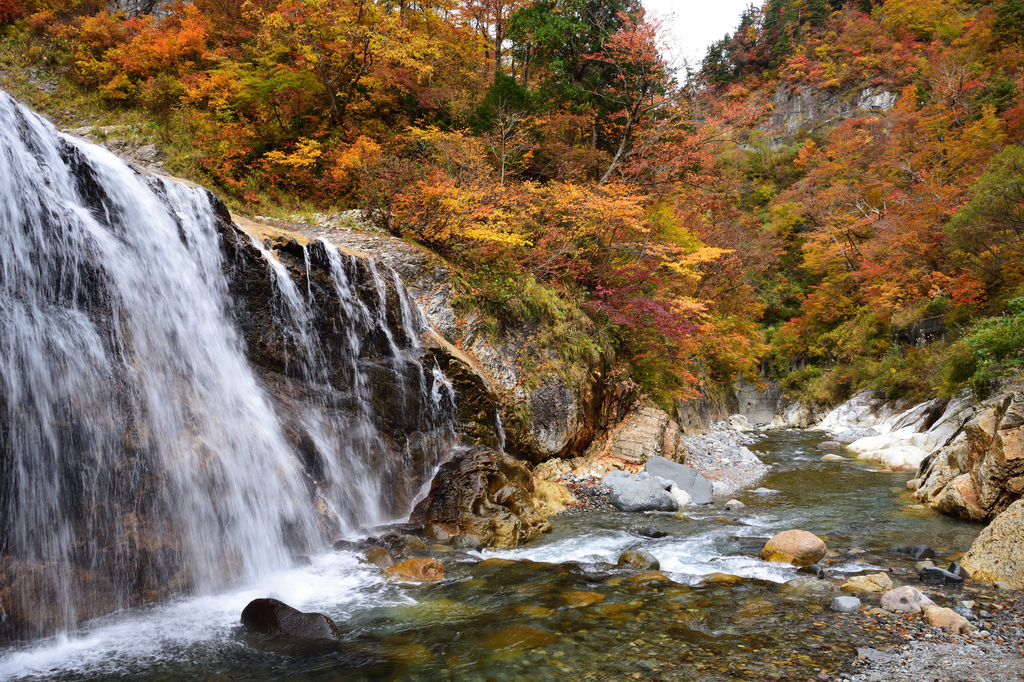 DSC_5086_00005.jpg