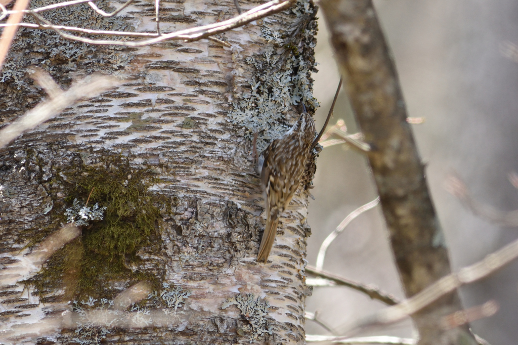 DSC_6220_00004.jpg