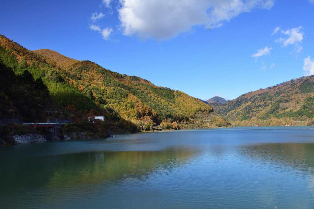 DSC_6396_00001.jpg